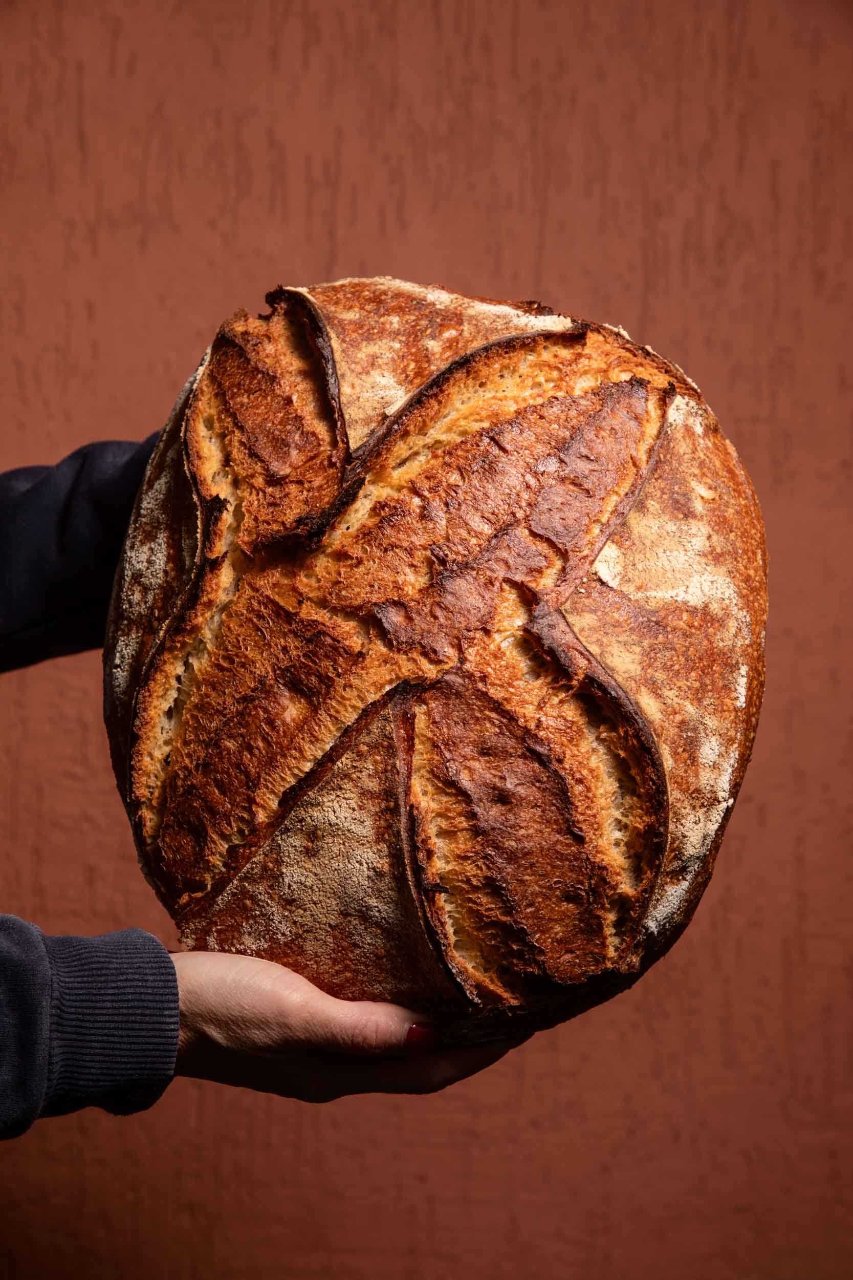 Pain vendu par Archibald sur son site marchand réalisé par Divinemenciel