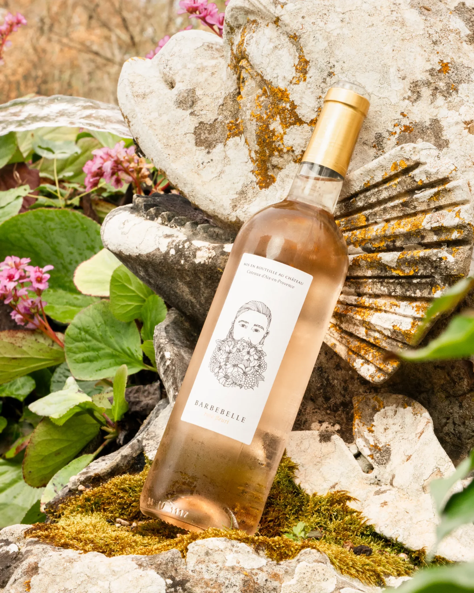 Vin rosé Château Barbebelle posé sur une fontaine en pierre entourée de végétation en Provence
